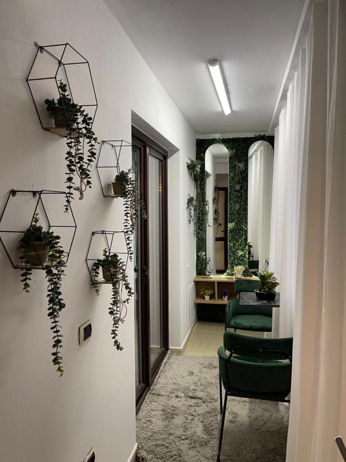 Superior 2Br Apartment Tirana Zewnętrze zdjęcie
